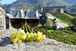 Pair of wineglasses and grapes. Bellinzona, Switzerland