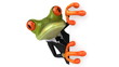 Fun frog