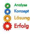 Analyse Konzept Lösung Erfolg