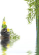 concept nature détente, bien-être, relaxation