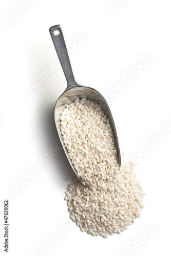 Photo: the uncooked arborio rice the uncooked arborio rice