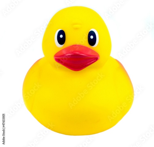 Photo: Yellow rubber duck on white background. Yellow rubber duck on white background.