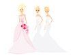 Bride with bridesmaids