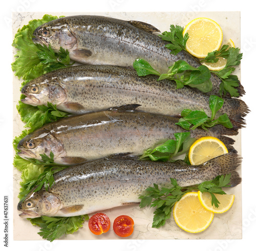 Photo: Trote - Trouts Trote - Trouts