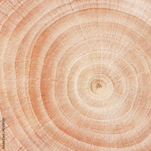 Photo: helle holz-textur, close-up. helle holz-textur, close-up.