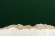 White torn paper