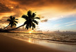 sunset on the beach of caribbean sea