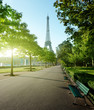sunny morning and Eiffel Tower, Paris, France