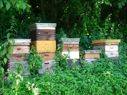Photo: beehive bee hives beehive bee hives