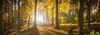 Waldlichtung