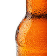 Bottle of beer