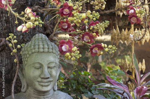 Photo: Meditación. Buda Meditación. Buda