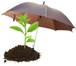 concept protection nature, écologie, environnement