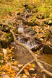 Autumn Falls