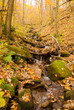 Autumn Falls