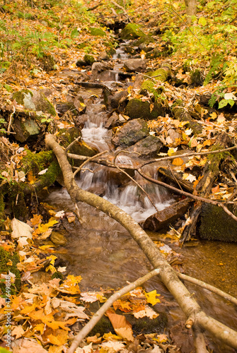 Photo: Autumn Falls Autumn Falls