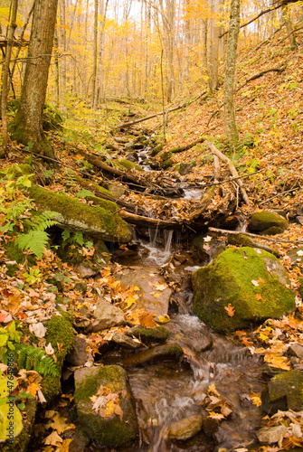 Photo: Autumn Falls Autumn Falls