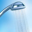 Foto: Shower Head Shower Head