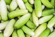 Photo: Cucumbers Cucumbers