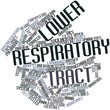 Word cloud for Lower respiratory tract