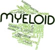 Word cloud for Myeloid