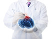 Doctor working on a virtual brain