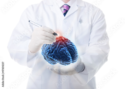 Photo: Doctor working on a virtual brain Doctor working on a virtual brain