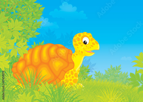 Illustration: Tortoise Tortoise