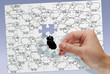 puzzle schwarzes schaf weiße schafe