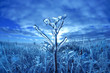 Photo: Winter Winter