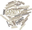 Word cloud for Sanity