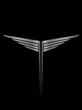 silver wings