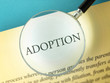 Adoption and awareness