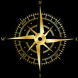 Vector: Golden wind rose Golden wind rose