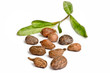 Foto: Shea nuts on white Shea nuts on white
