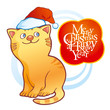 Vector: Kitten wearing Christmas cap with greeting inscription Kitten wearing Christmas cap with greeting inscription