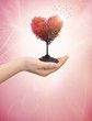 Woman's hand holding a tree heart