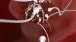 Inside the womb
