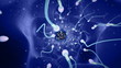 Inside the womb