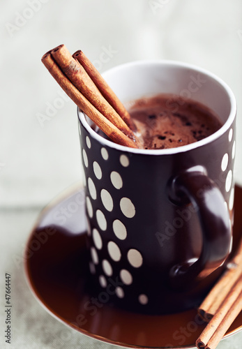 Photo: Hot chocolate with cinnamon Hot chocolate with cinnamon