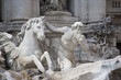 Fontana di Trevi, Particolare