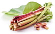 Rhubarb stalks.