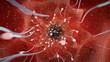 Inside the womb
