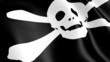 Video: the pirate flag the pirate flag