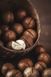 macadamia nuts