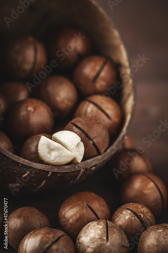 Photo: macadamia nuts macadamia nuts