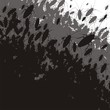 Bugs