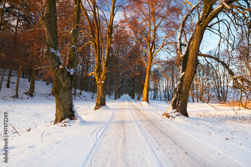 Photo: Snowy road to the forest in Poland Snowy road to the forest in Poland