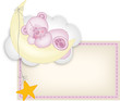 Baby girl label teddy bear sleeping on a moon