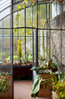 Photo: Véranda, serre, maison, intérieur, jardin, jardinage Véranda, serre, maison, intérieur, jardin, jardinage